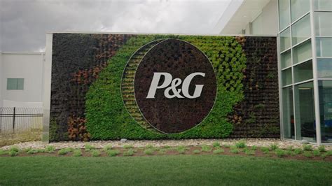 p&g luz